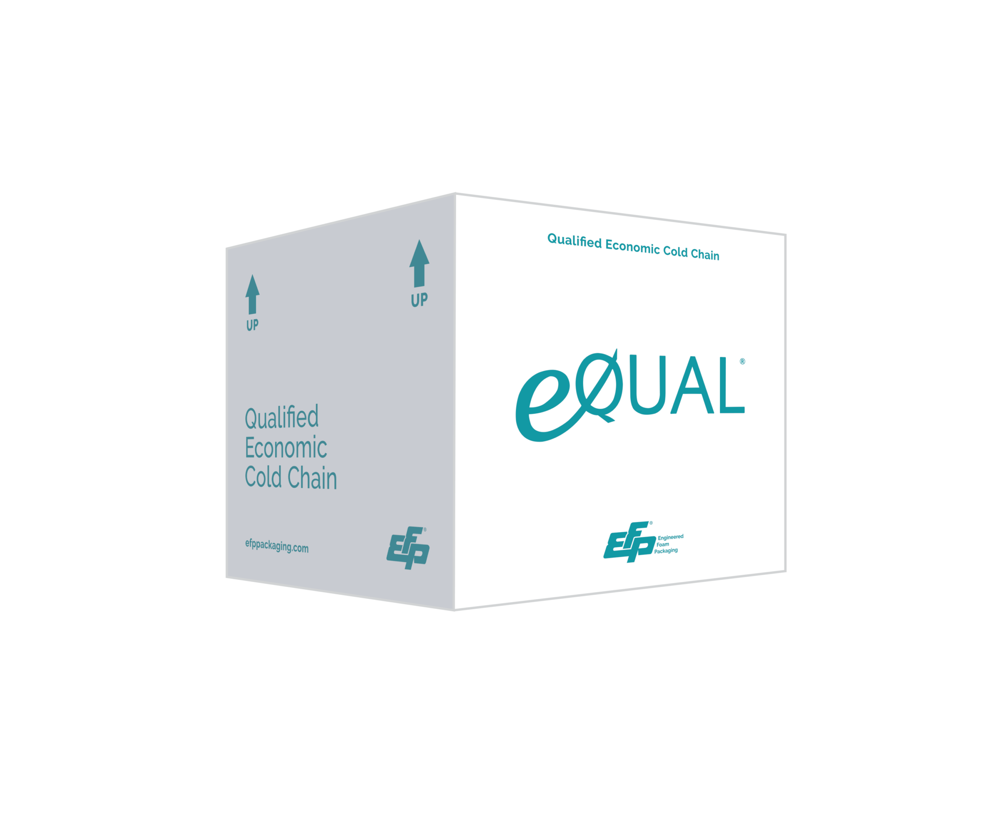 03d Equalalt Efptype