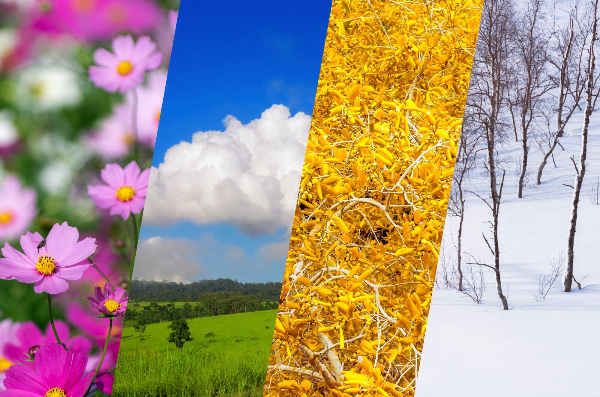 Summer, Winter Packaging… When to Switch?!?