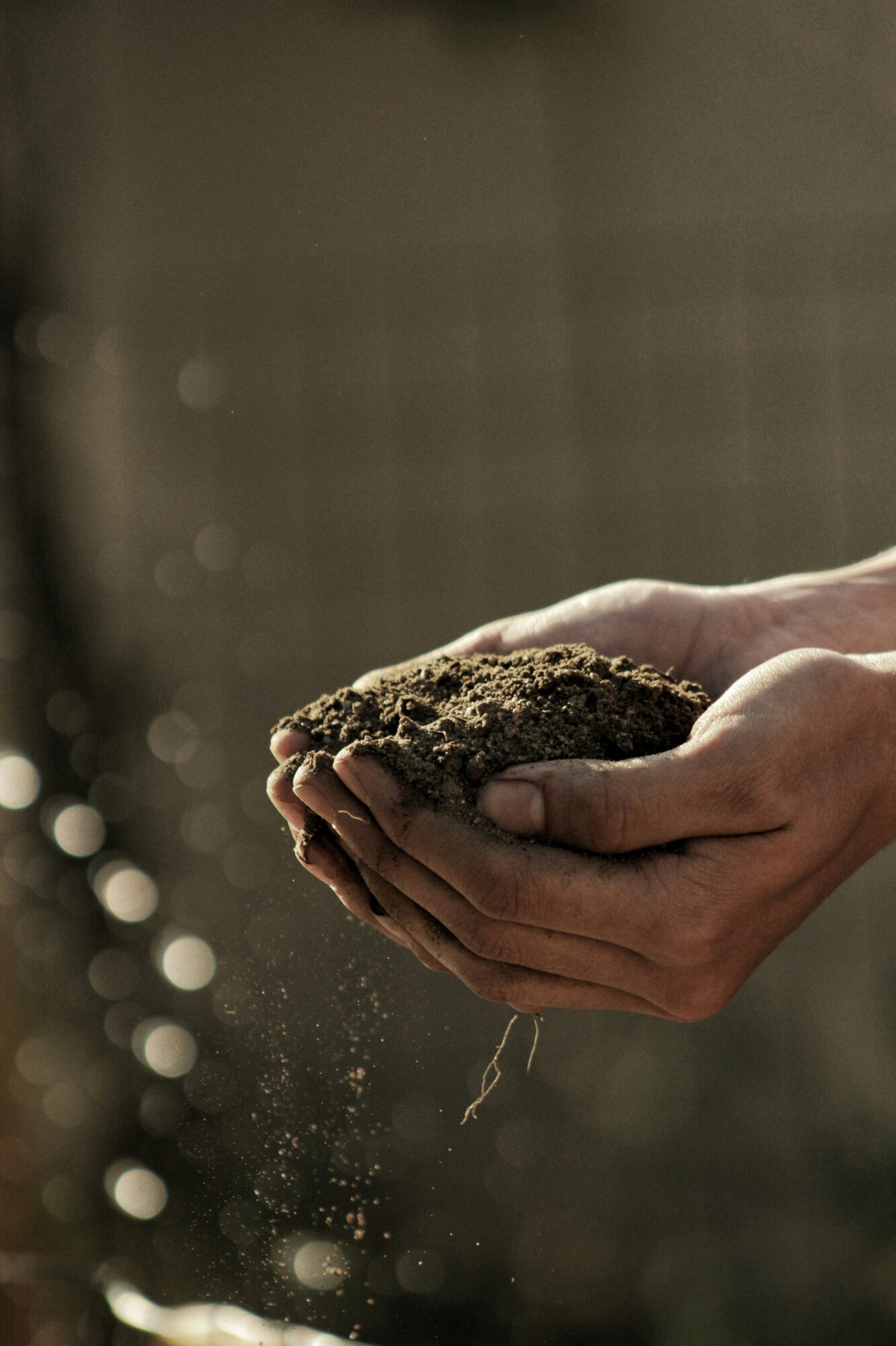 The Expanding Network of Composting Facilities in the U.S.